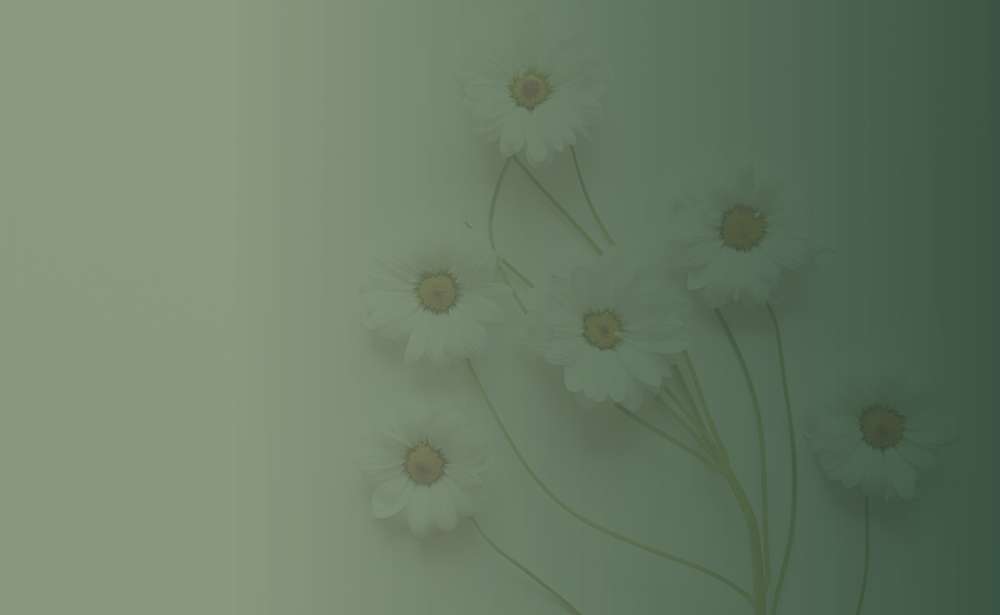 Enumclaw Naturopathic Clinic Located in Enumclaw, WA