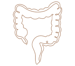 Gut Health at Enumclaw Naturopathic Clinic in Enumclaw, WA Gut Health at Enumclaw Naturopathic Clinic in Enumclaw, WA